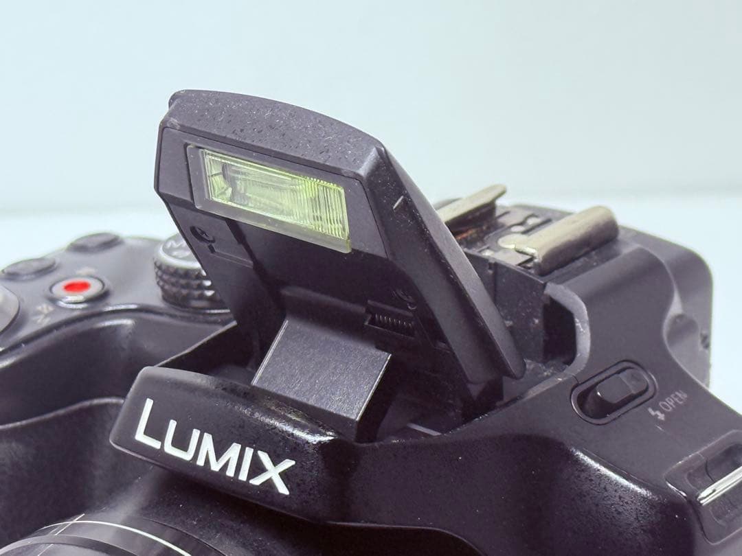 LUMIX DMC-FZ200 動作確認済 ネオ一眼 デジカメ 明るいF2.8