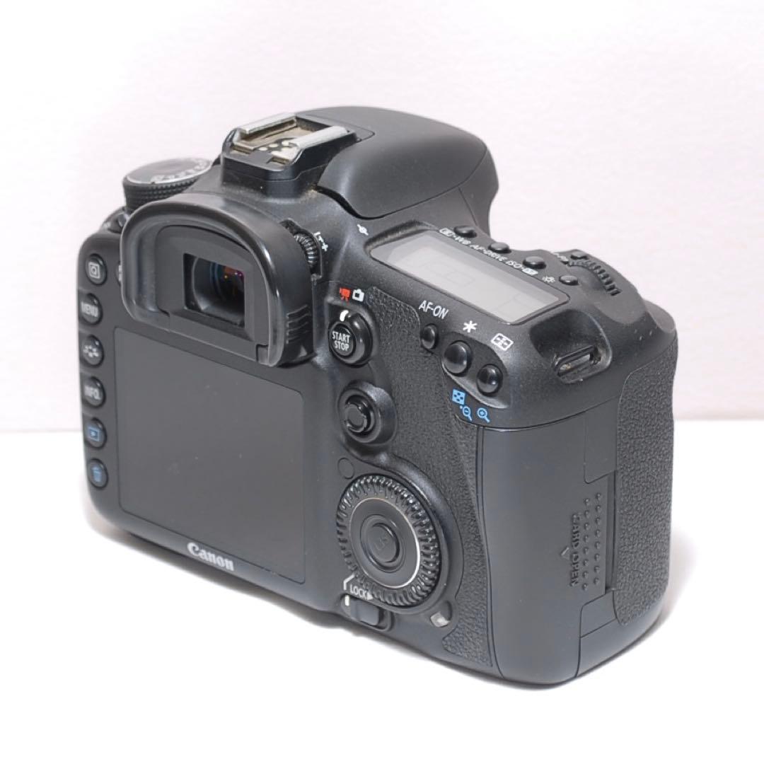 ✨ハイアマチュアに✨Canon EOS 7D✨ダブルレンズ✨超望遠レンズデビュー