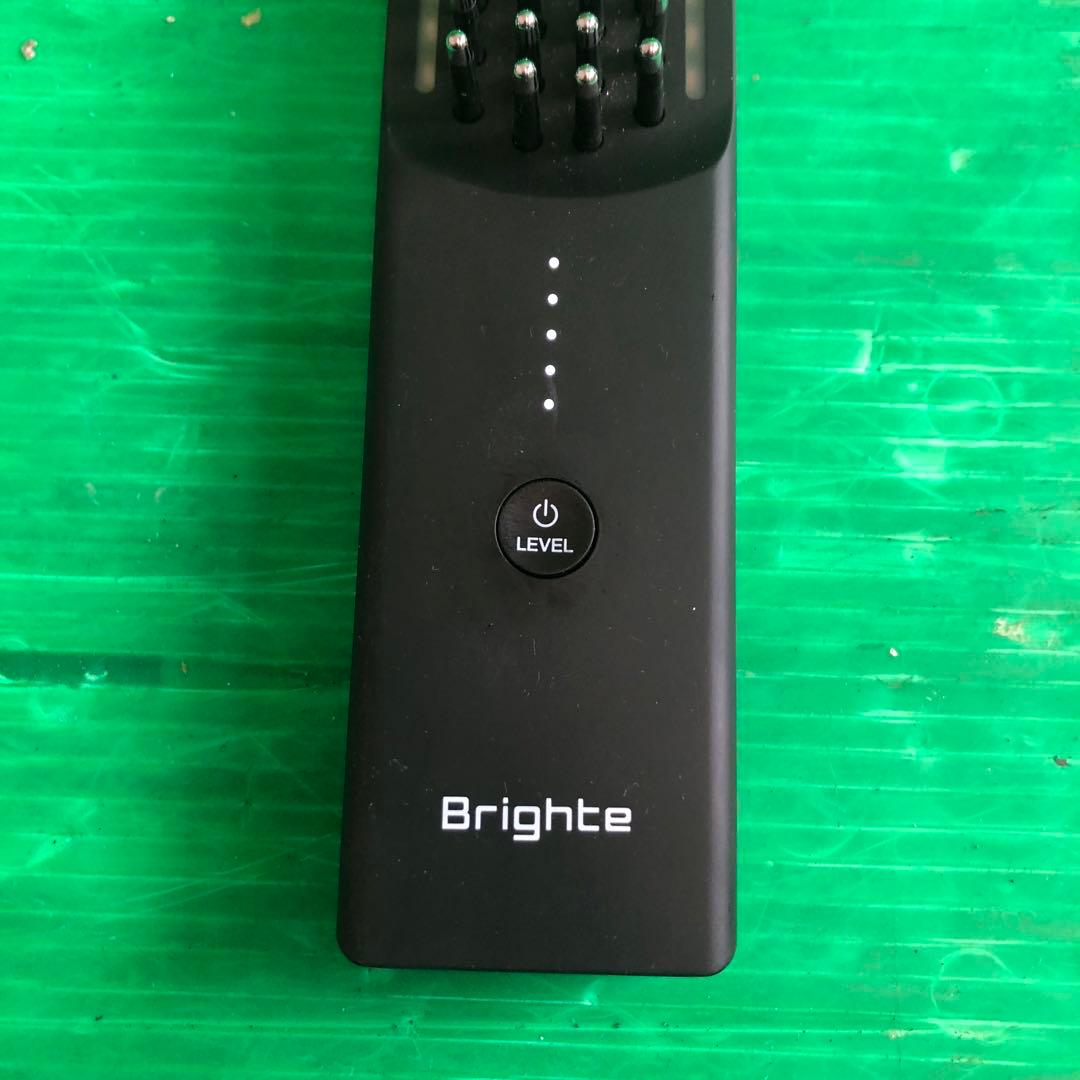 Brighte ELEKI BRUSH 美顔器 ブライト エレキブラシ ジャンク