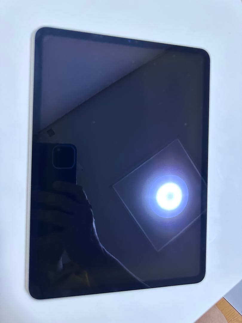 iPad Pro 11 (第1世代) 256GB Wi-Fi