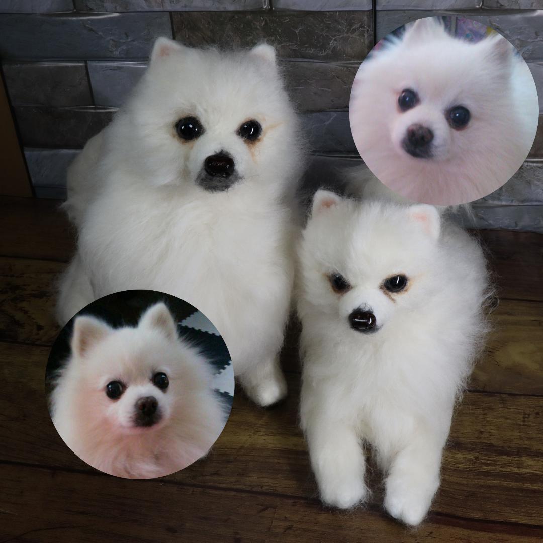 羊毛フェルト　Yrmm様確認用　ポメラニアン　犬　ハンドメイド　オーダー