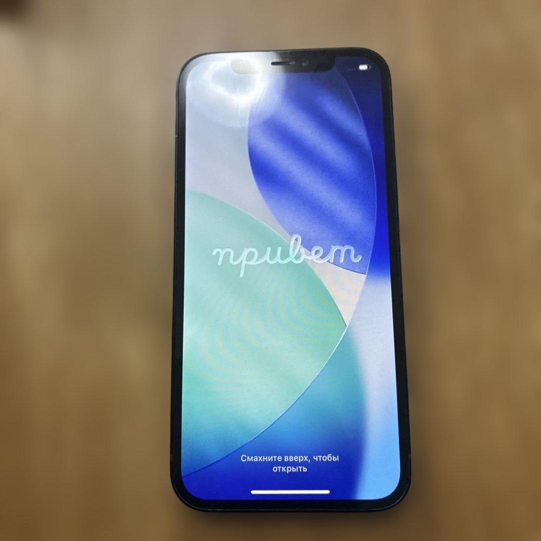Apple iPhone 12 ブラック本体　充電ケーブル付き