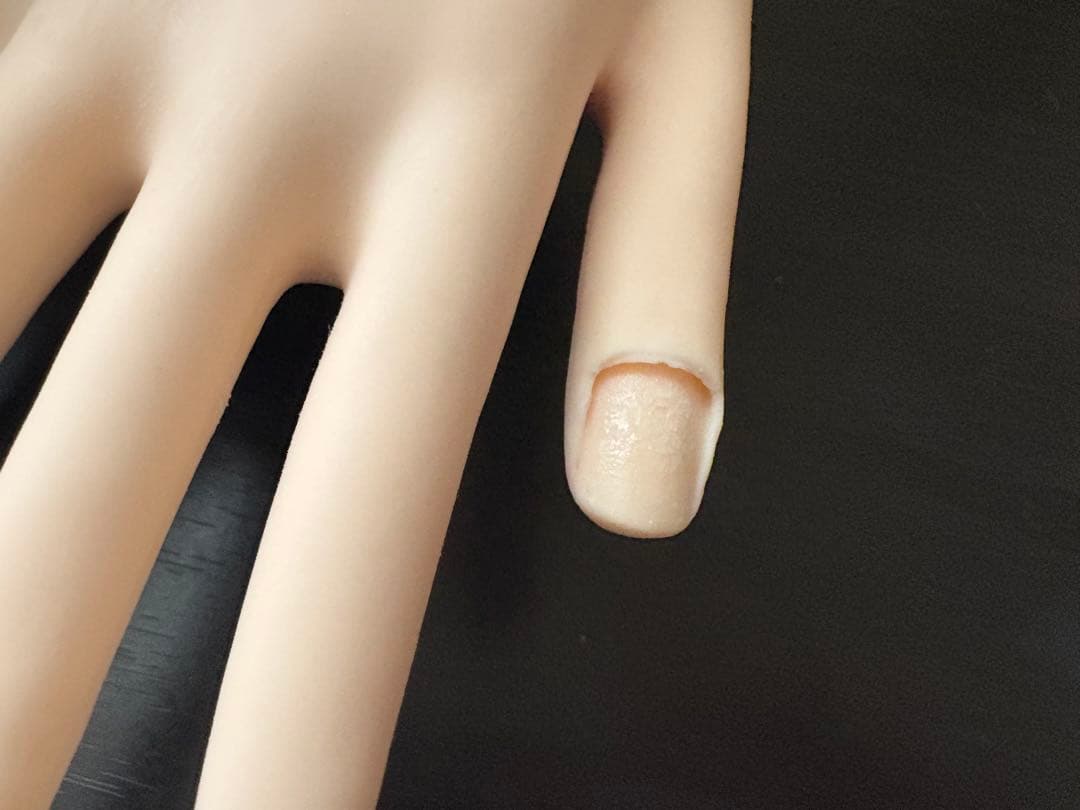 認定モデルハンド