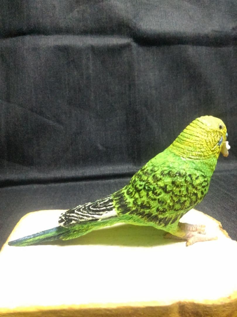 実物大 木彫りのセキセイインコと食パン