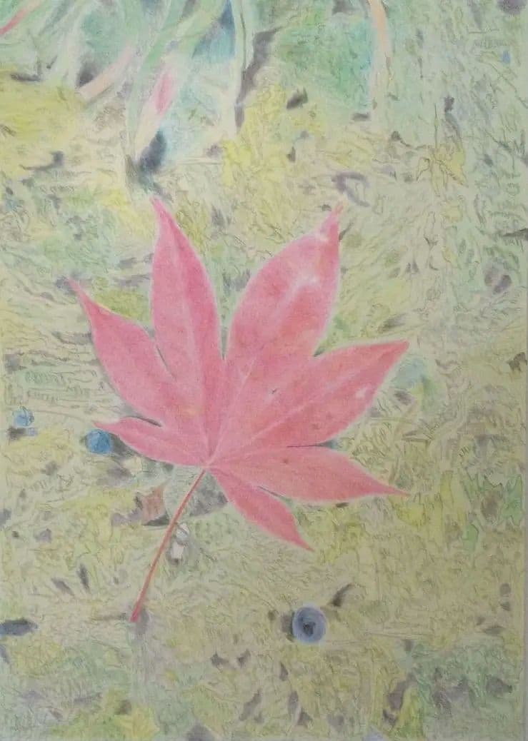 絵画 もみじの葉　色鉛筆