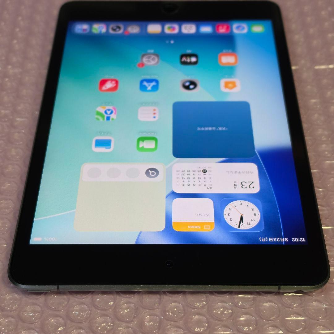 美品　ipad mini 第5世代　バッテリー大変良好