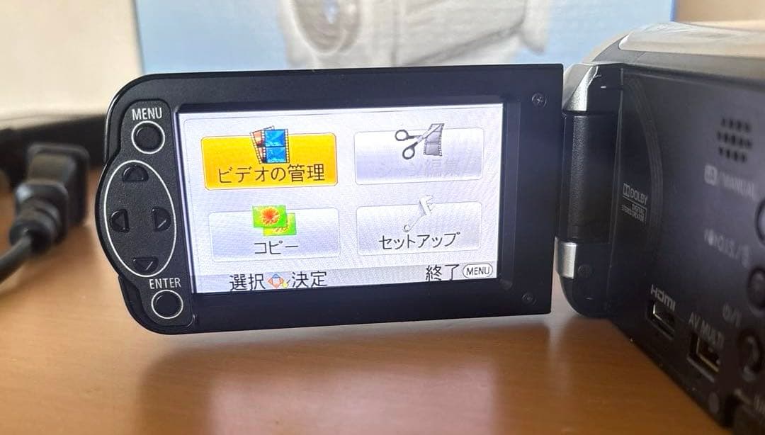 Panasonic HC-V100M ビデオカメラ 本体