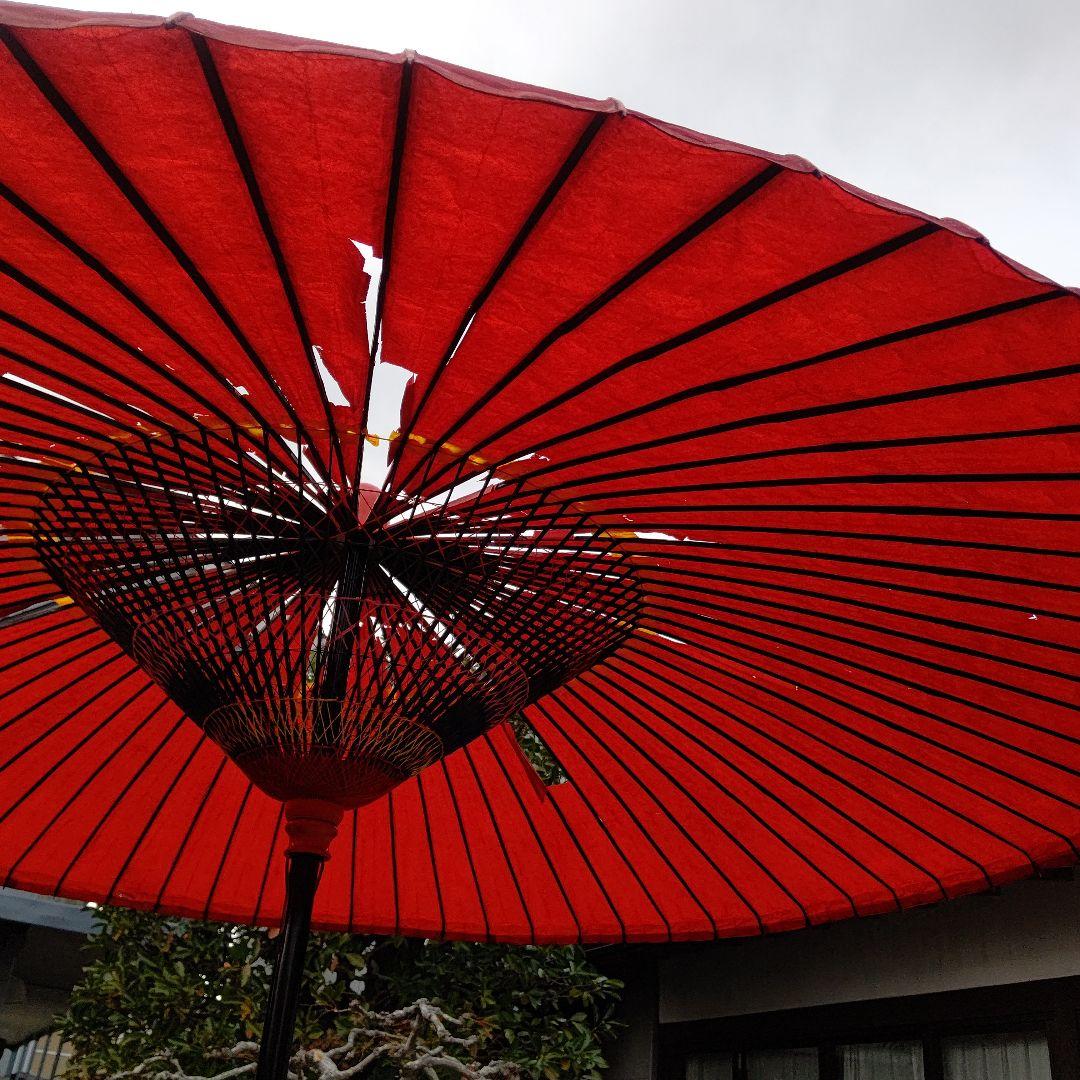 値下げ！茶道具 野点傘 茶席　茶会 野点 和傘