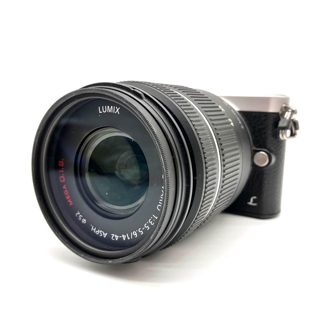 Panasonic DMC-GM1 14-42mmレンズセット