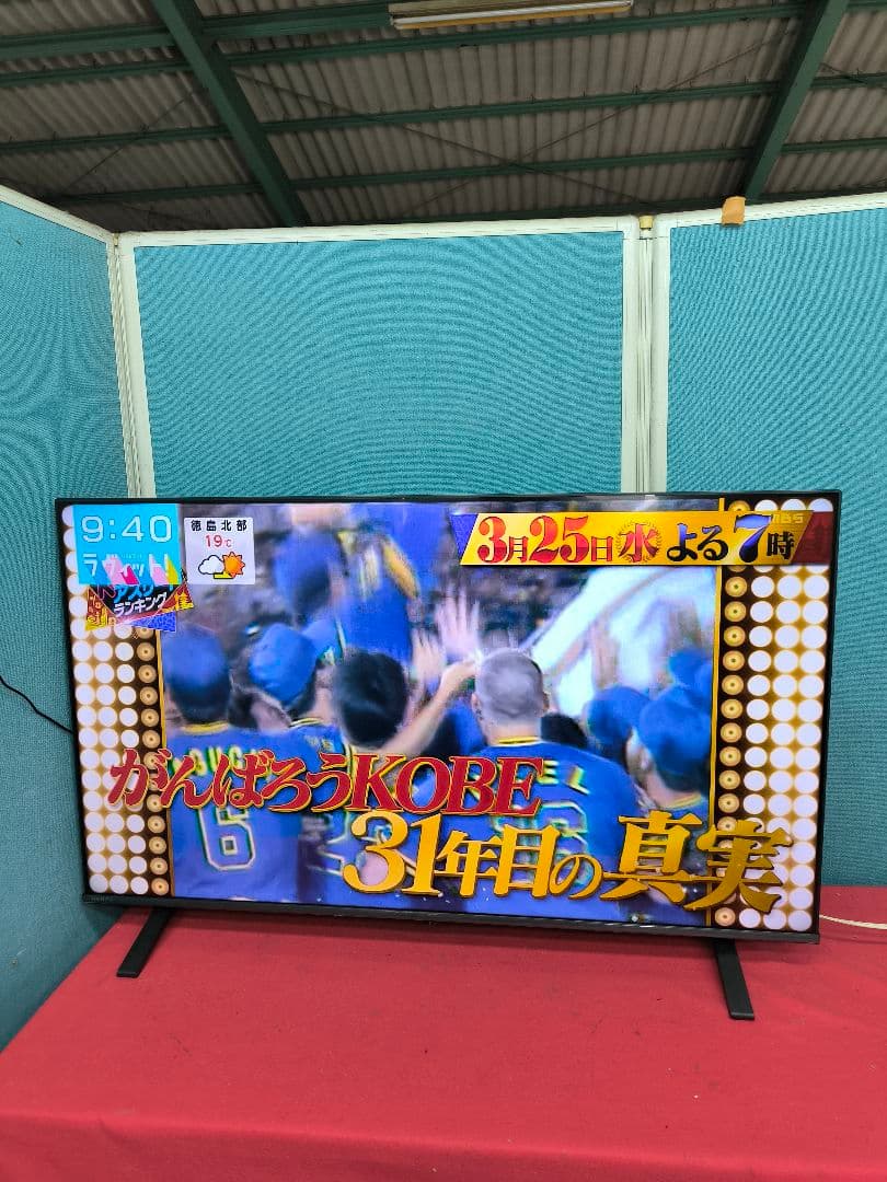 2024年製　REGZA 50V型4K液晶テレビ50E350M 　ネット動画