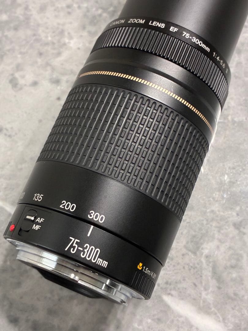 ⭐️美品⭐️Canon EF 75-300mm F/4-5.6 II USM