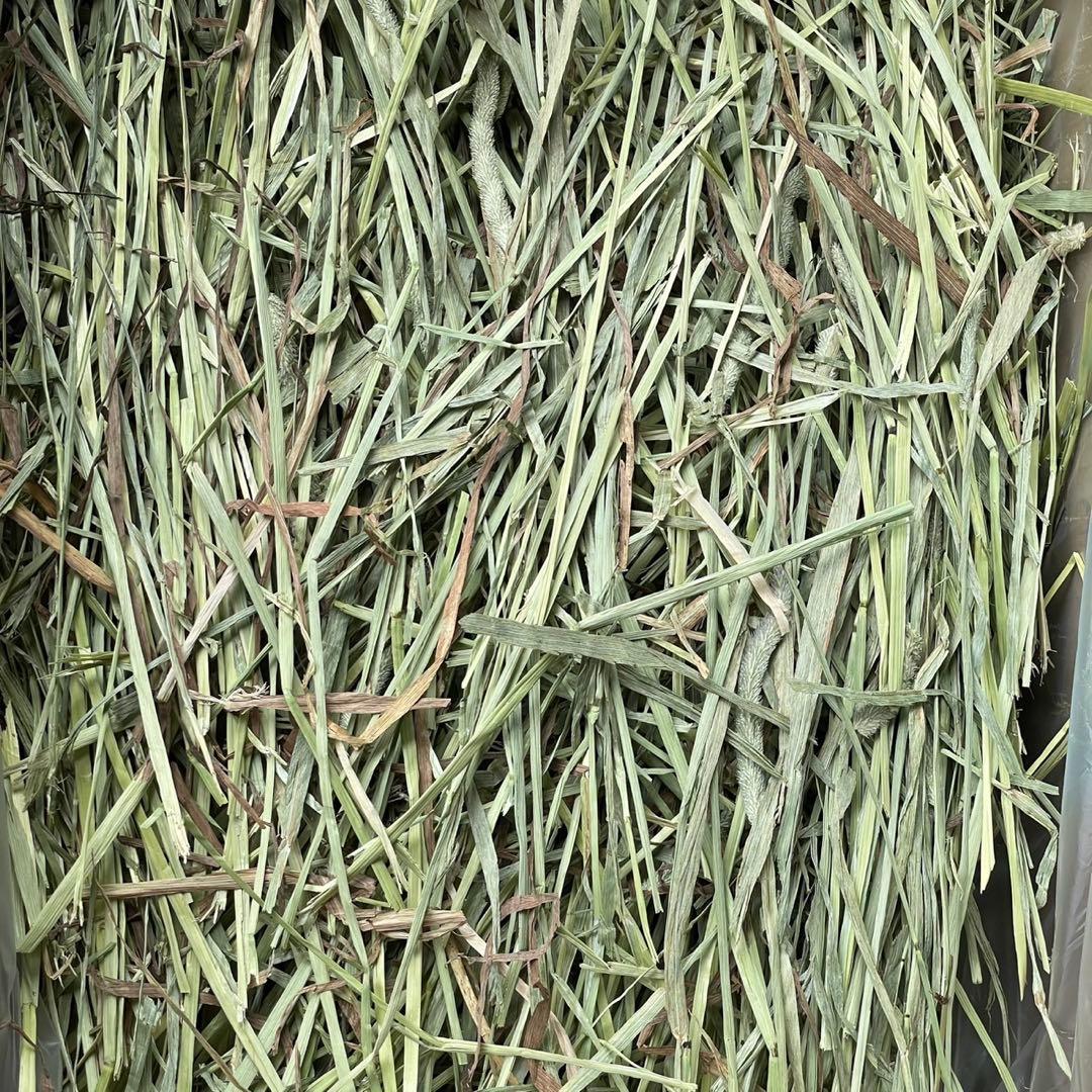 ★NEW! チモシー29kg 新物◼︎プレミアム1番刈 ペットフード うさぎ 牧草