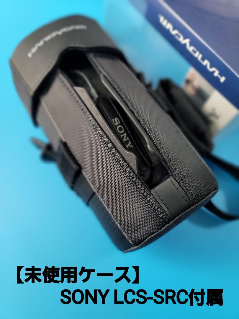 【ZEISS バリオ・ゾナーＴ＊】SONY FDR-AXP35 [4K]