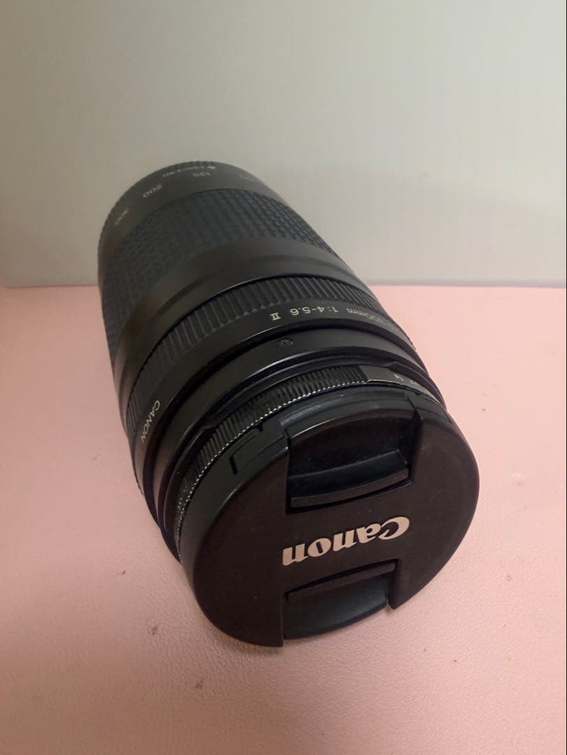 Canon 望遠レンズ 単焦点レンズ 2点セット