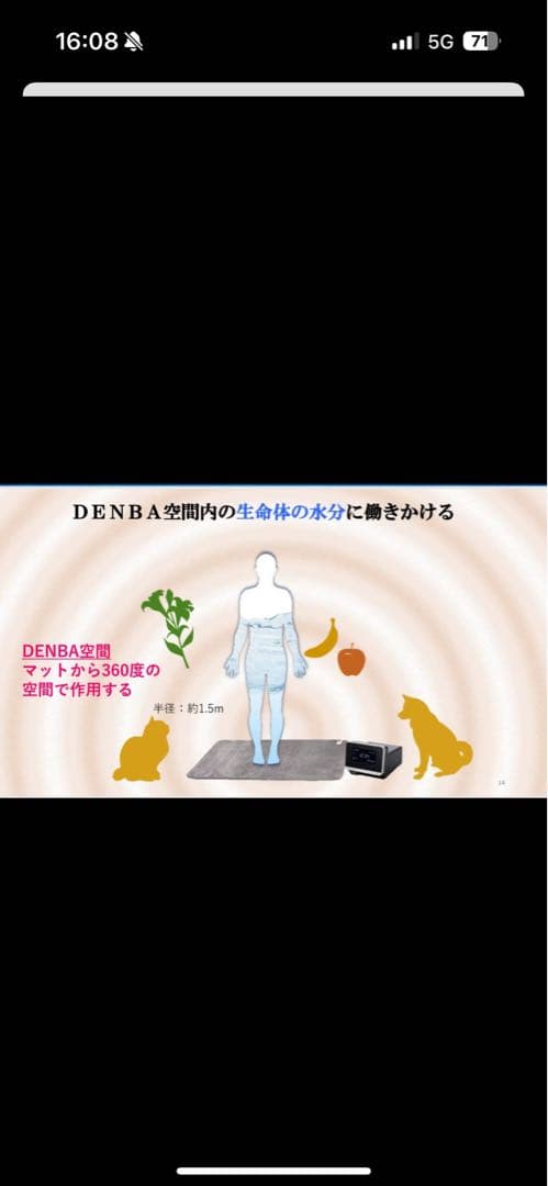 DENBA H 美容家電 日本製