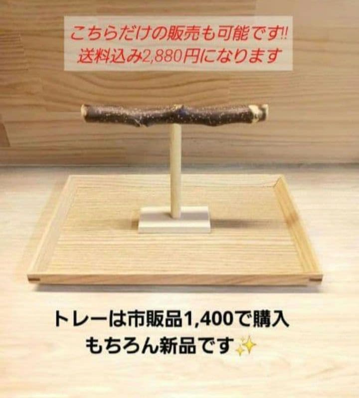 $263　⭐　フォージングトイセット⭐　輪投げ　バードトイ　文鳥　インコ