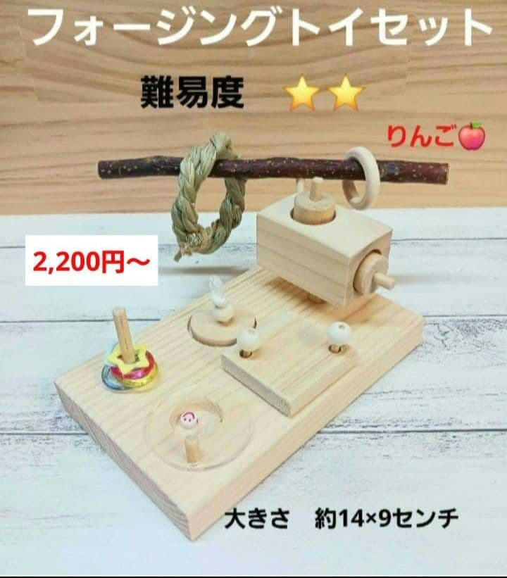 $263　⭐　フォージングトイセット⭐　輪投げ　バードトイ　文鳥　インコ