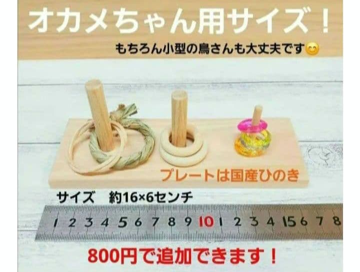 $263　⭐　フォージングトイセット⭐　輪投げ　バードトイ　文鳥　インコ