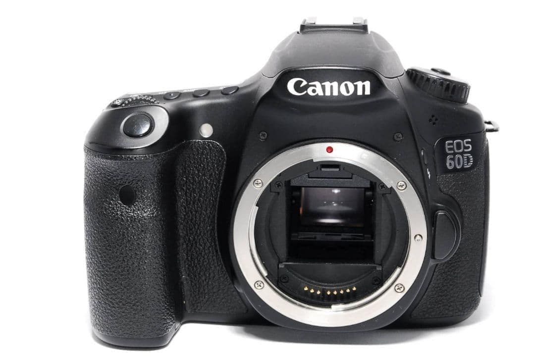 ✨️Canon EOS 60D✨標準＋望遠Wレンズ 高画質 本格撮影 すぐ使える