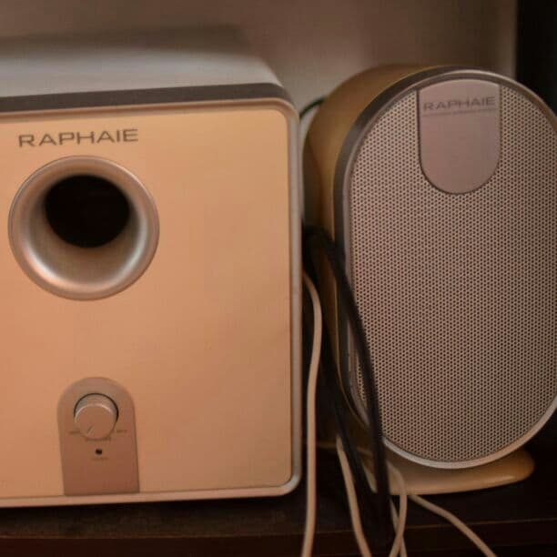 RAPHAIE オーディオ　スピーカー　ウーハー