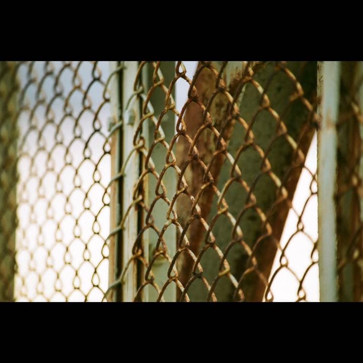 NIKON F50D レンズセット