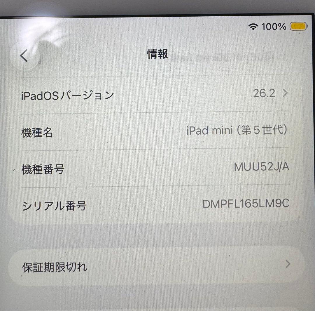 iPad mini 第5世代 256GB Wi-Fiモデル シルバー 箱あり