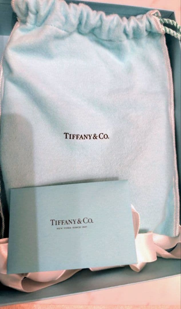 ■中〜大型犬 TIFFANY レザーリード ティファニーブルー ラージ L