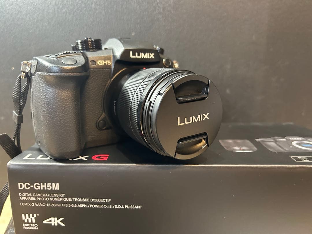 LUMIX GH5 DC-GH5M レンズキット 美品 使用2回のみ 付属品完備