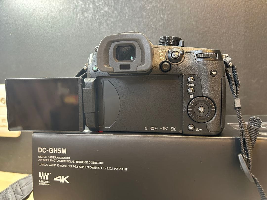 LUMIX GH5 DC-GH5M レンズキット 美品 使用2回のみ 付属品完備