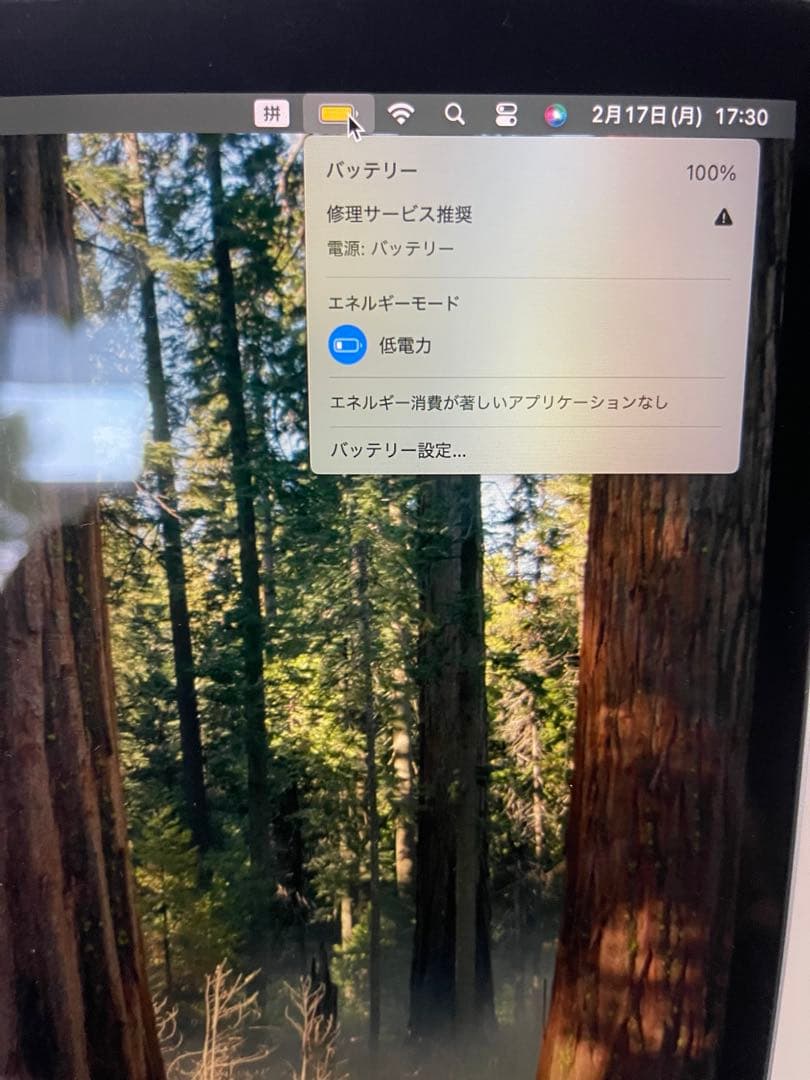 MacBook Pro 2019 15.4インチ 1TB SSD
