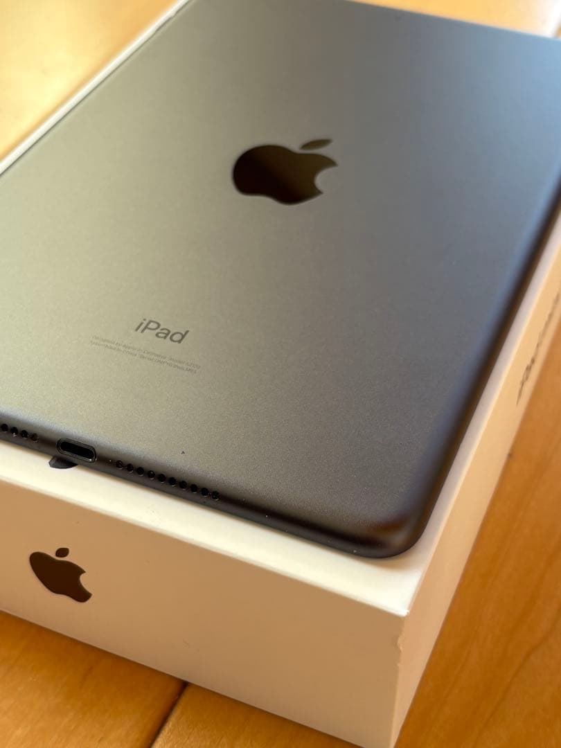 【美品】iPad mini 第5世代　64GB　バッテリー93％　スペースグレイ