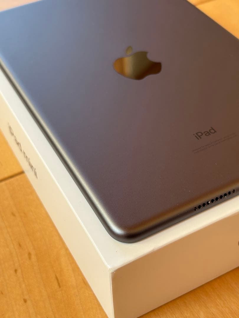 【美品】iPad mini 第5世代　64GB　バッテリー93％　スペースグレイ