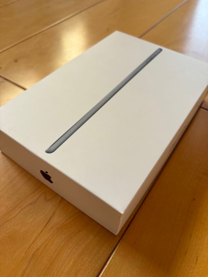【美品】iPad mini 第5世代　64GB　バッテリー93％　スペースグレイ