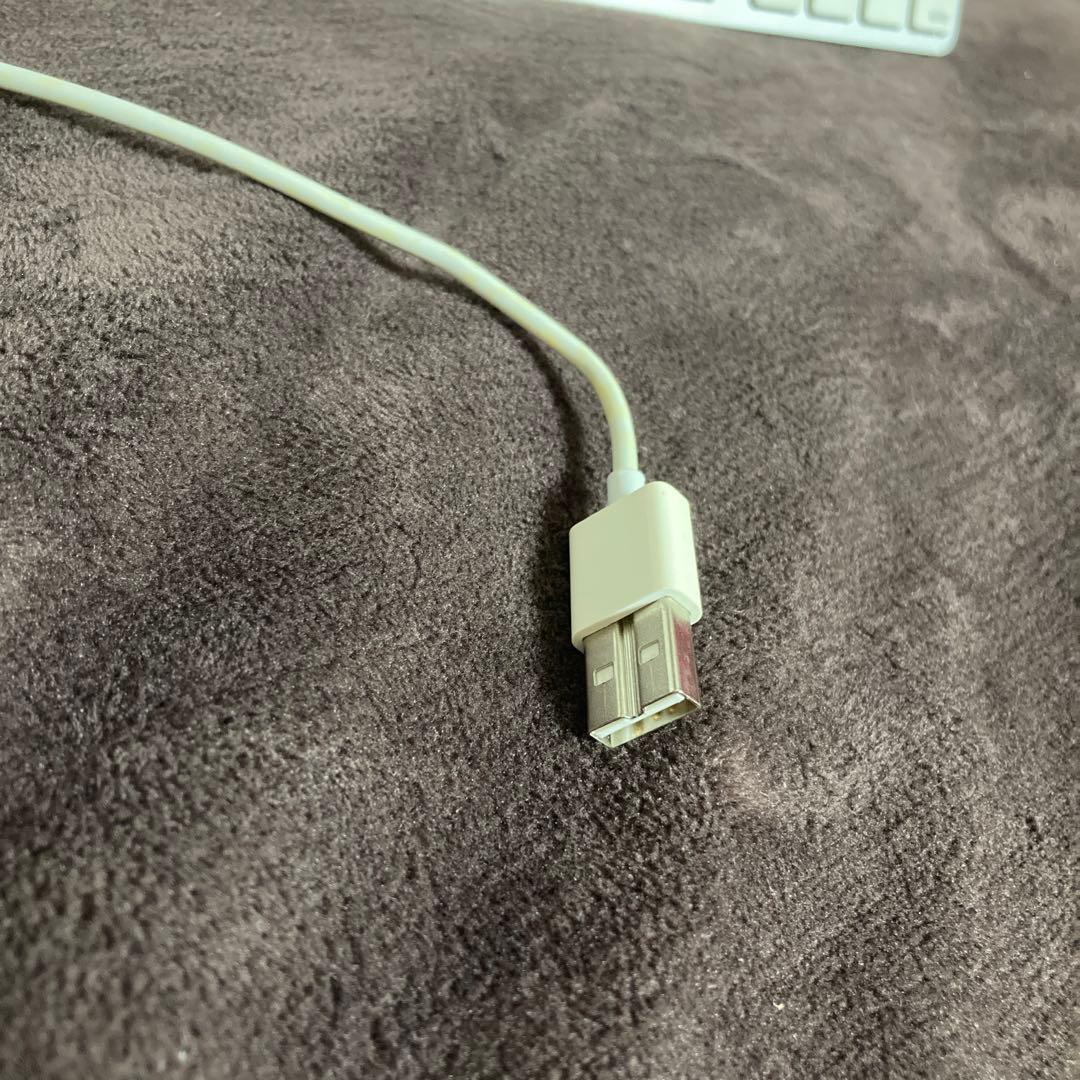 アップルApple パソコンのキーボード 2つおまとめで 大人個人家庭での使用