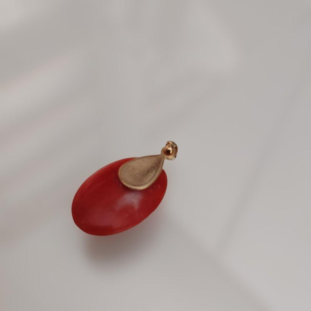 サンゴ　ルース
