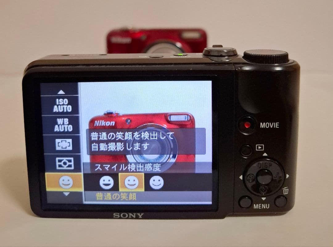 SONY Cyber-shot DSC-HX5V GPSコンテジ