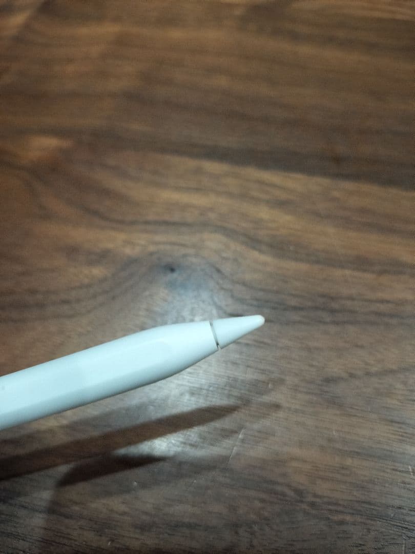 Apple pencil アップルペンシル 第2世代 A2051