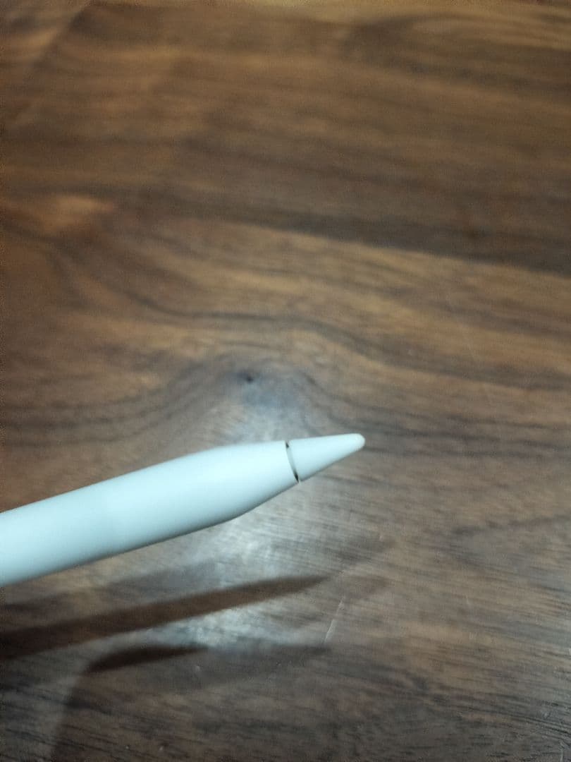 Apple pencil アップルペンシル 第2世代 A2051