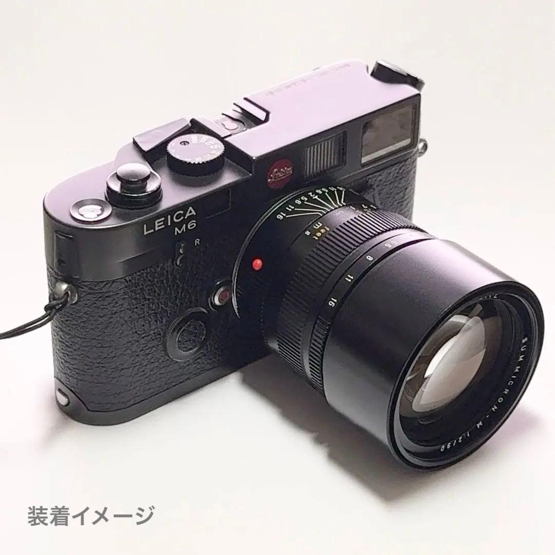 向日葵