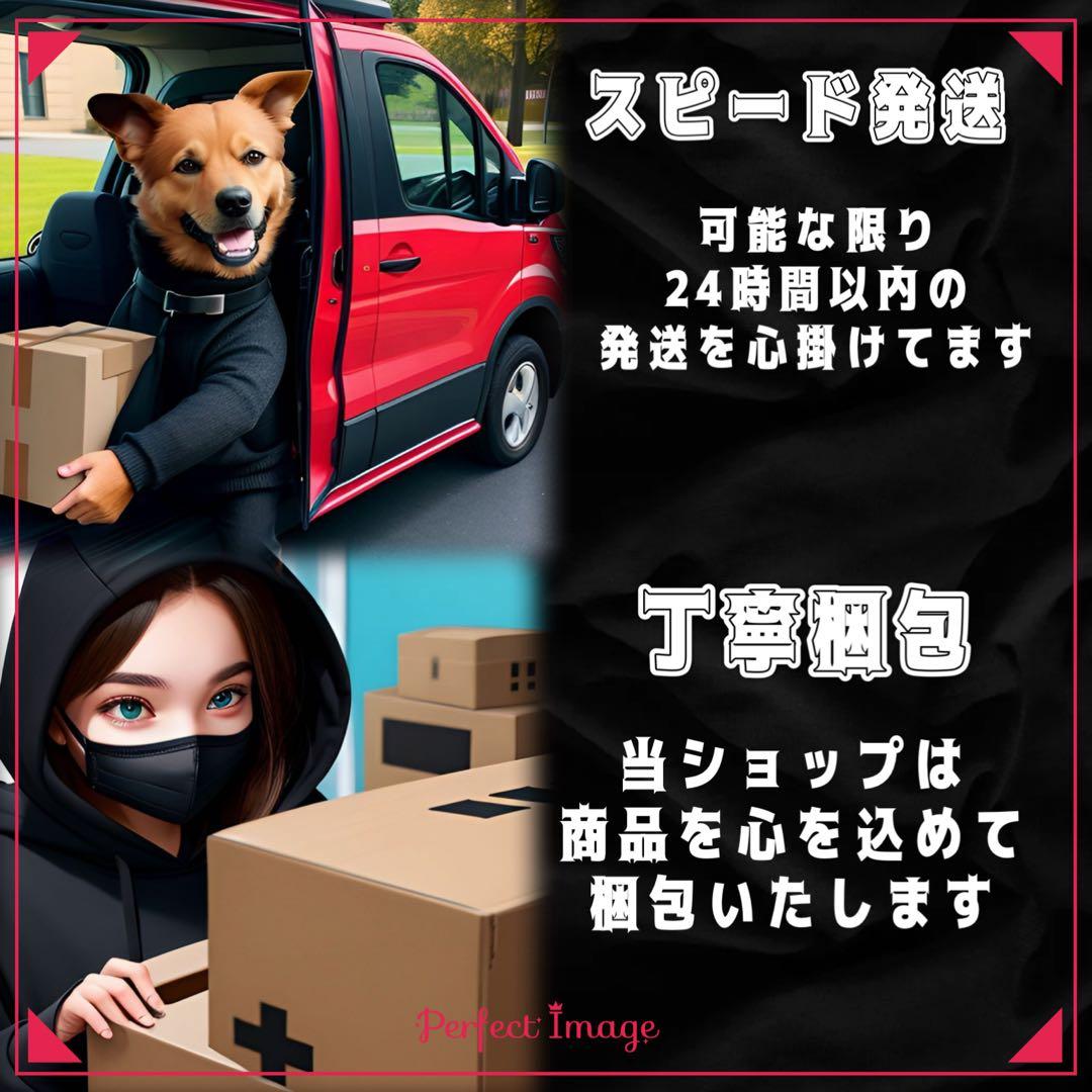 シナモロール クロミ サンリオキャラクター トイカメラ Pieniシリーズ