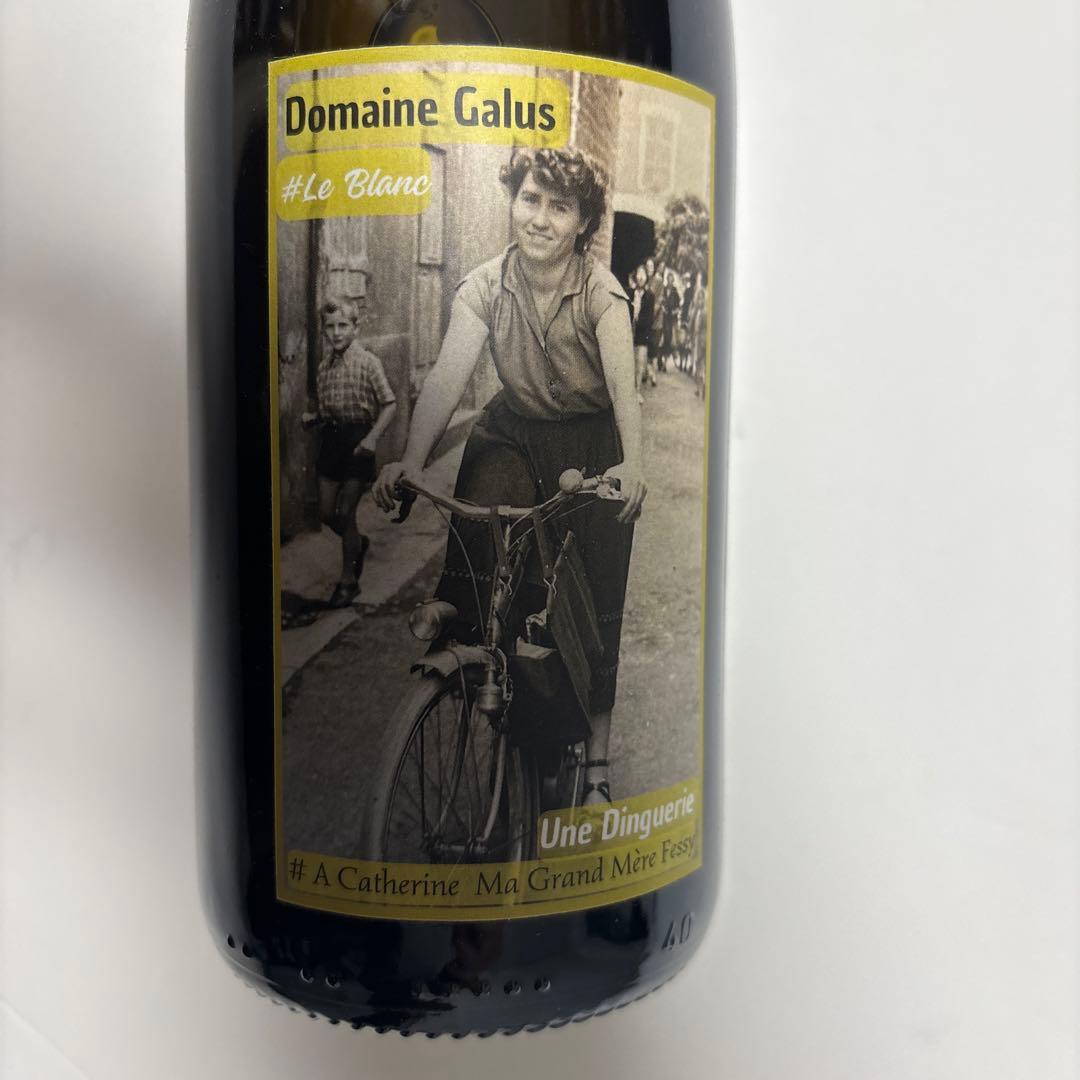 Domaine Galus 白ワイン 750ml 2023