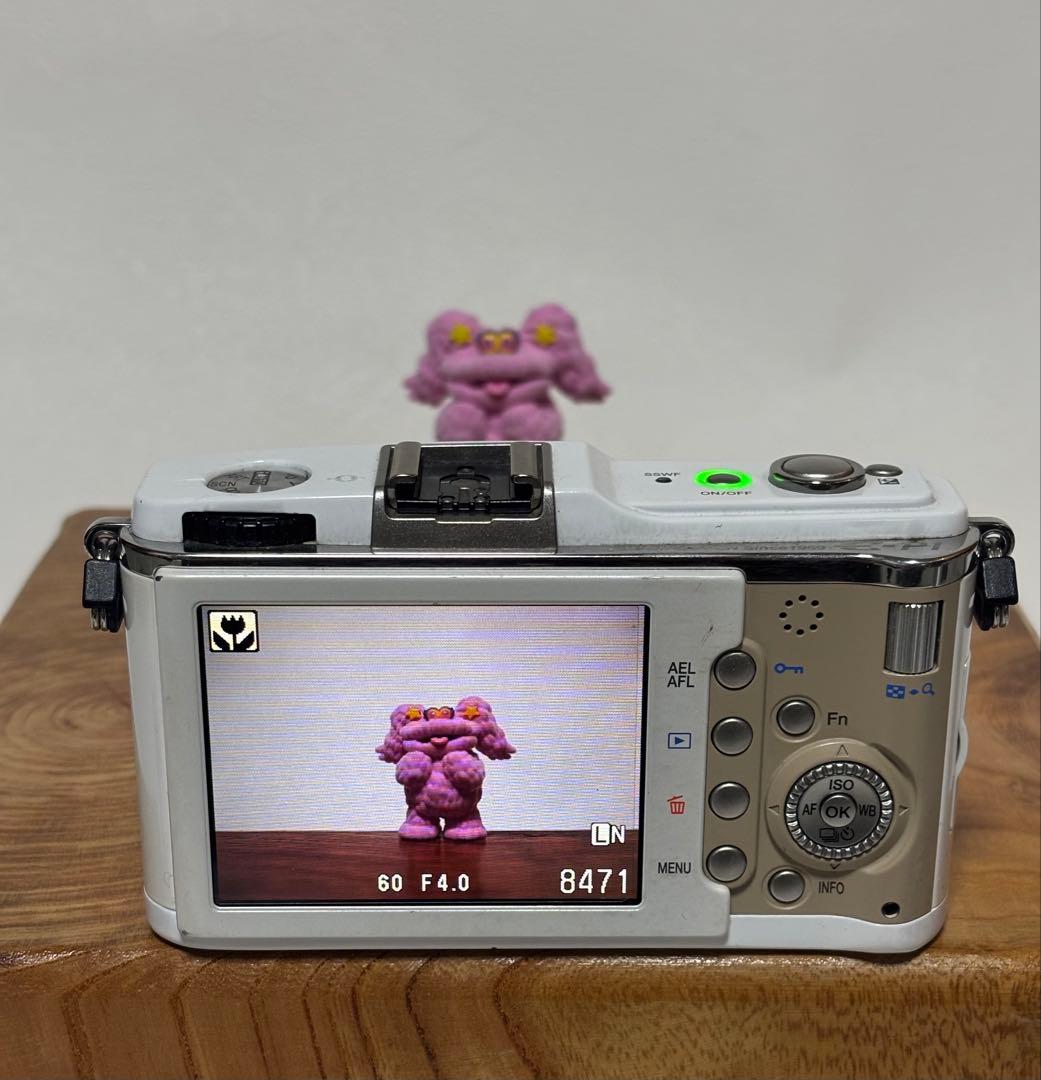 オリンパス PEN E-P1 ダブルレンズキット