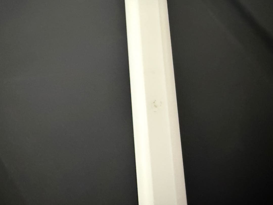 iPad pro(第2世代)シルバー 本体 + Apple Pencil