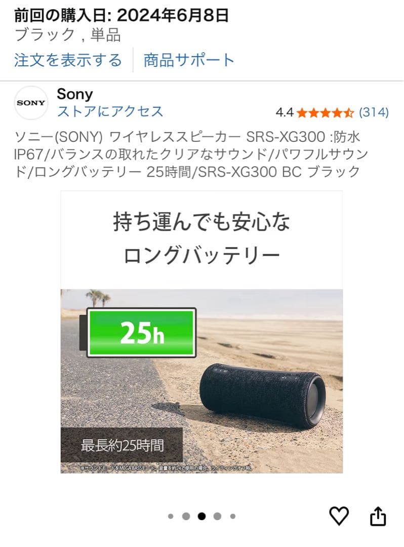 【！特別価格！】さらに【！専用ケース付き！】 ★SRS-XG300 グレー