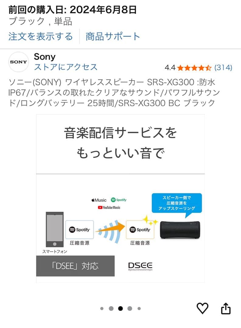【！特別価格！】さらに【！専用ケース付き！】 ★SRS-XG300 グレー