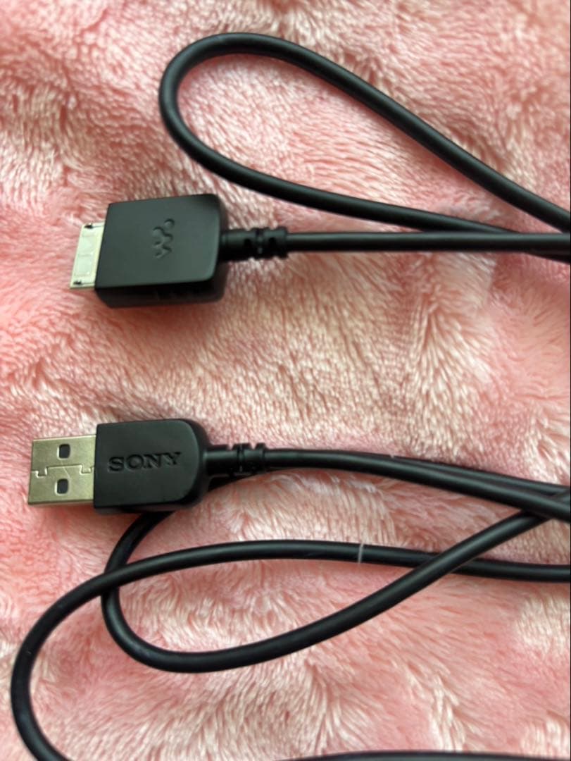 SONY NW-S766 パープル 29GB