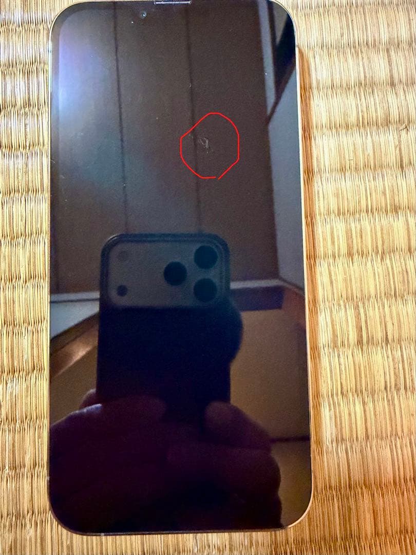 iPhone13 Pro Max simフリー 256GB おまけ付き