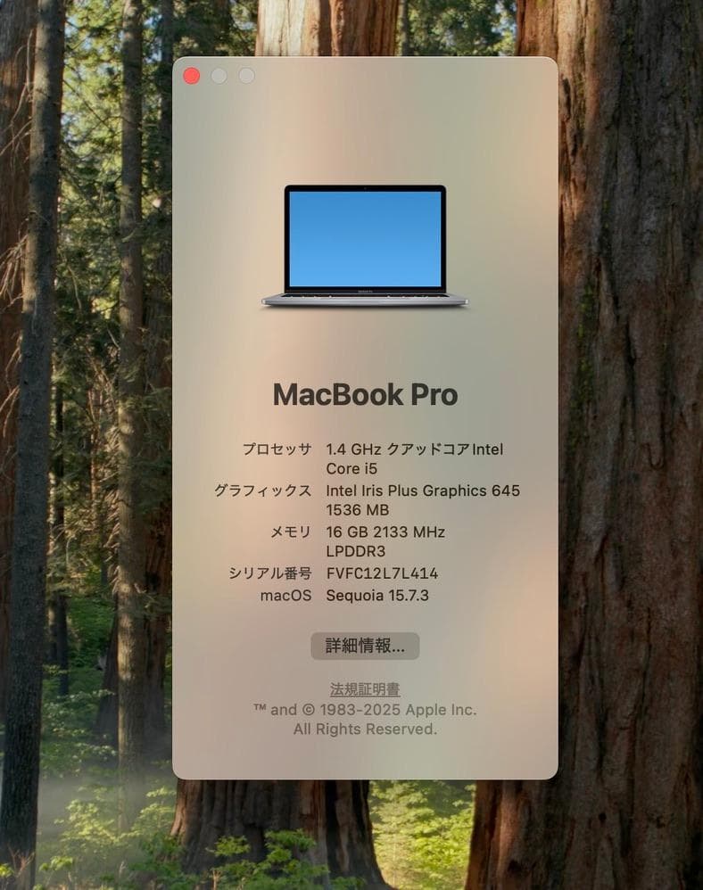 MacBook本体 MacBook Pro 13 2019 16GB 512GB Touch Bar