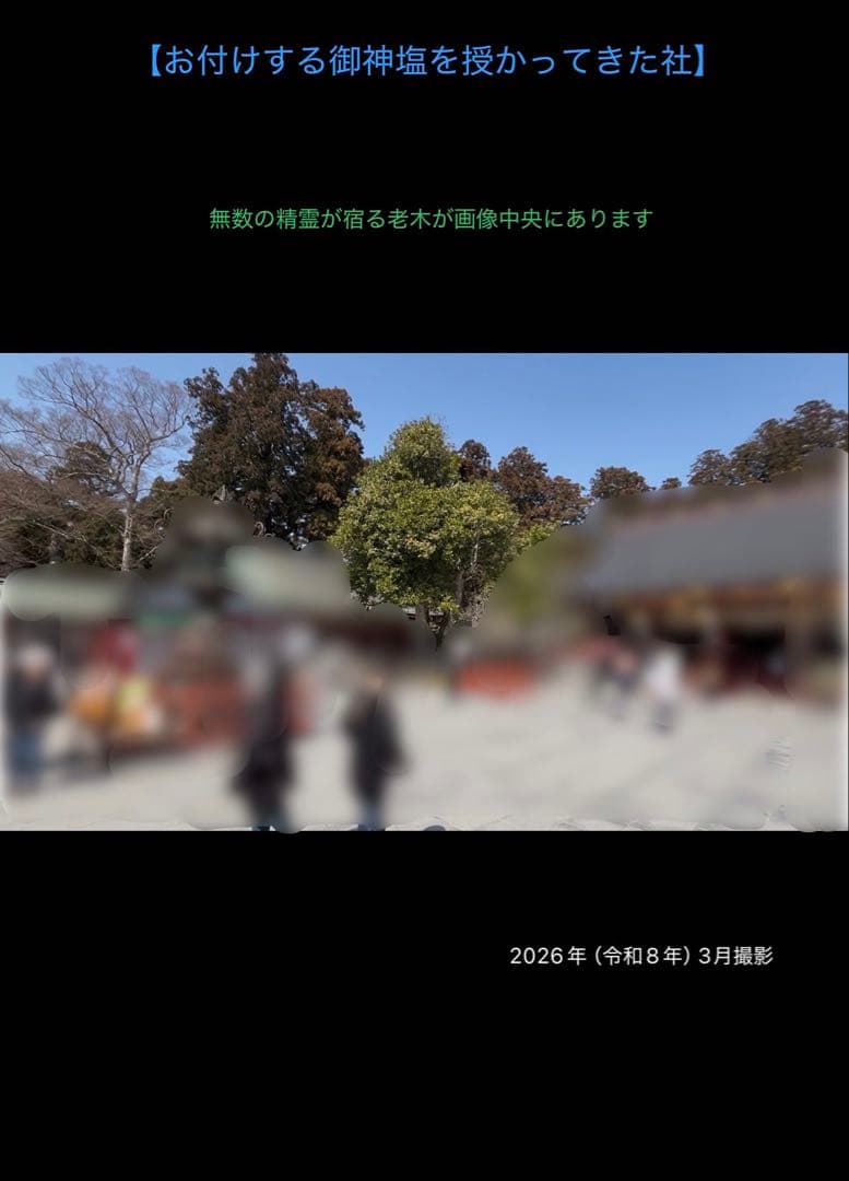 ★★★ 霊石 ★★★　紅　金銭鈎天珠　ブレスレット / 腕念珠