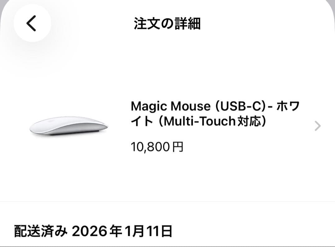 タ*ー様 Apple Magic Mouse (USB-C) - ホワイト